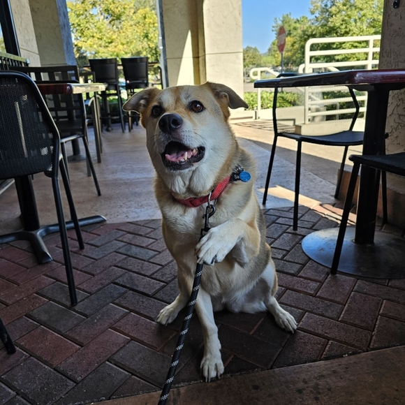 Meet your Posher, Pat - Picture 3 of 17